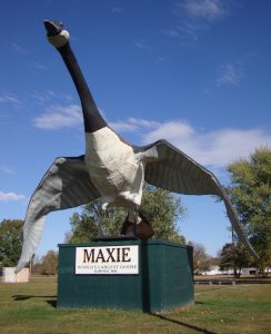 Wild Goose Chase Gravel Grinder Race | Sumner, MO